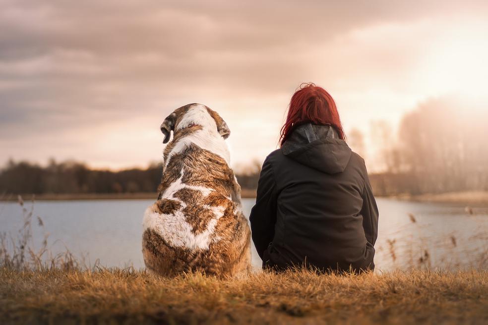 LUENTO: Miten omistajan persoonallisuus vaikuttaa koiran käyttäytymiseen? Kasvatustyylin vaikutus? by smartDOG